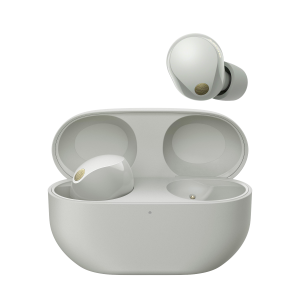 Sony WF-1000XM5 Zilver