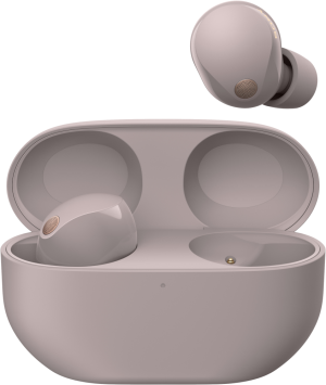 Sony WF-1000XM5 Roze